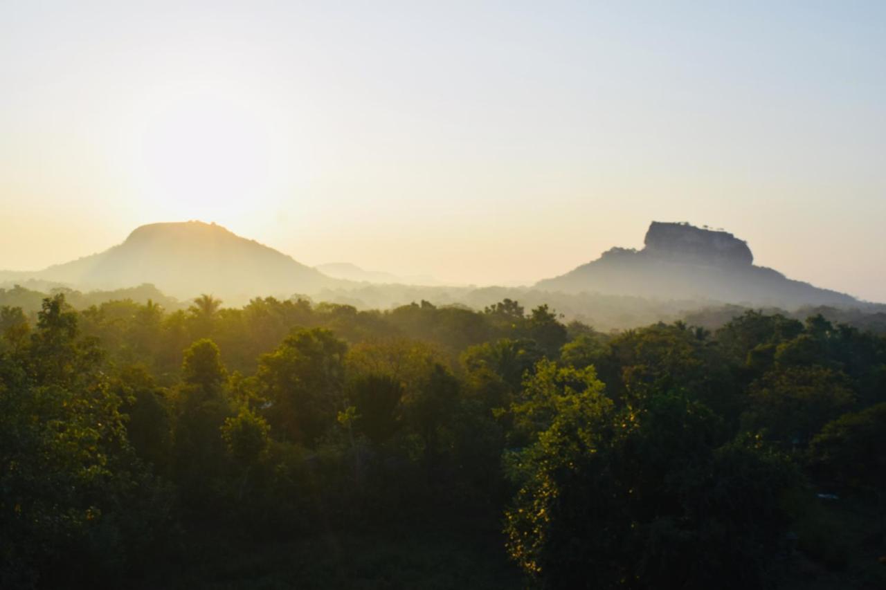 Green Hut Nature Resort Sigiriya Dış mekan fotoğraf