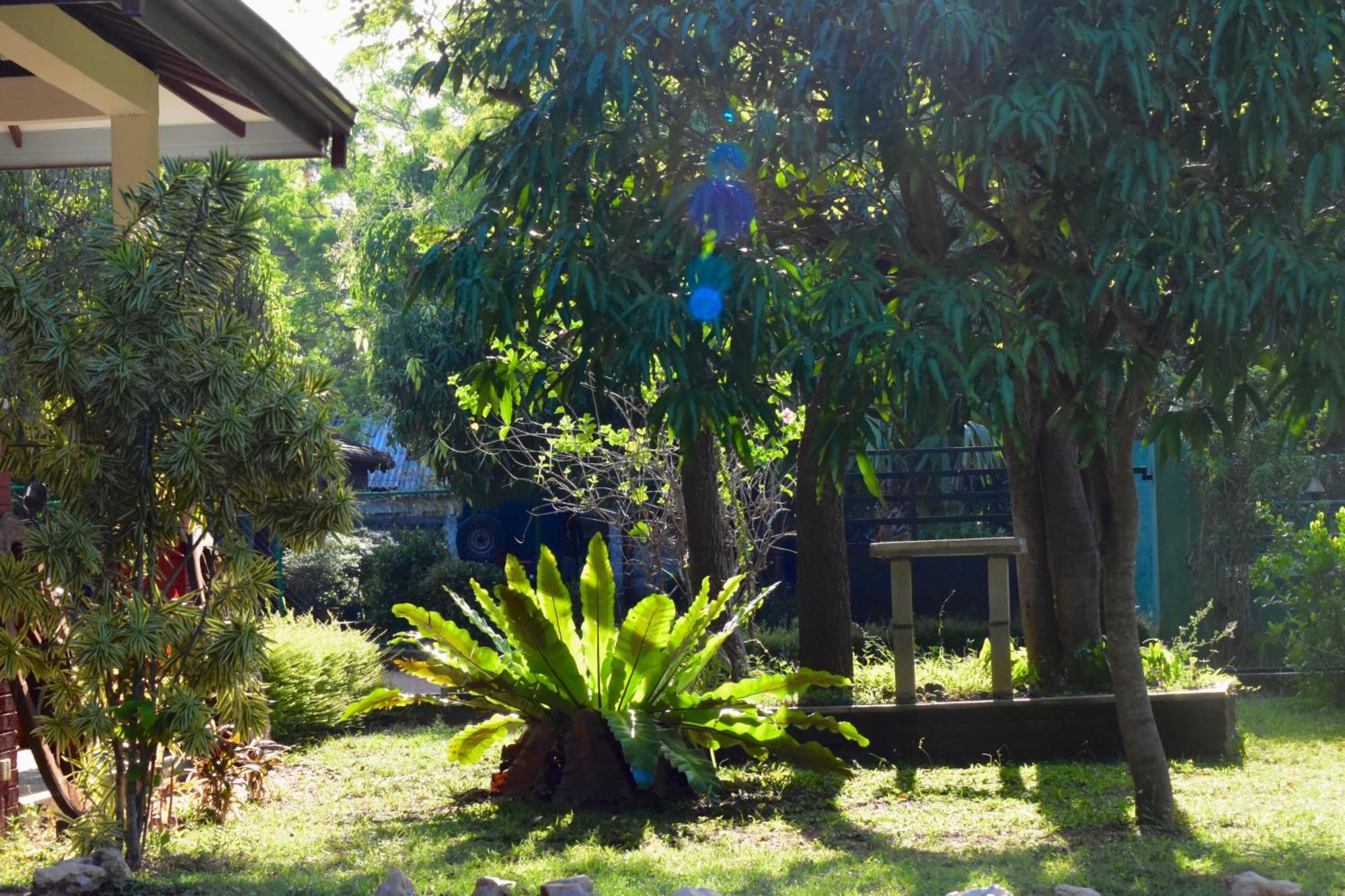 Green Hut Nature Resort Sigiriya Dış mekan fotoğraf